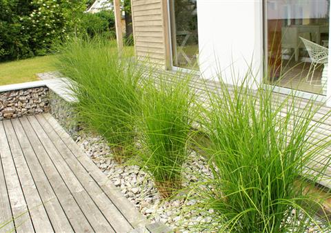 Exemple d'un jardin contemporain à muzillac