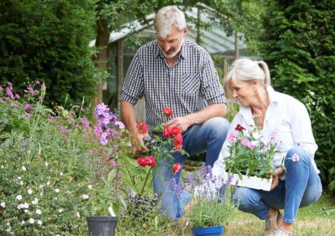 Trouvez le jardin qui vous ressemble en faisant appel à un paysagiste près de muzillac