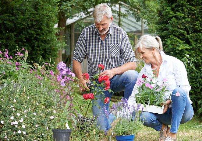 Trouvez le jardin qui vous ressemble en faisant appel à un paysagiste près de muzillac