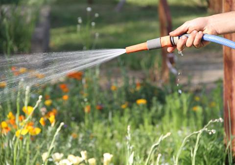 gérer l'eau de votre jardin à muzillac